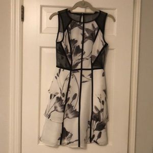 Karen Miller Dress